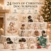 Pearl Dachshund 24-Day Christmas Advent Calendar - complete display with box and dachshund ornaments